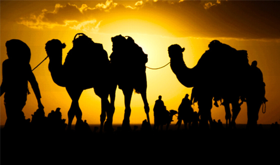 Warum die Posaune eine Allianz zwischen arabischen Nationen und Europa beobachtet