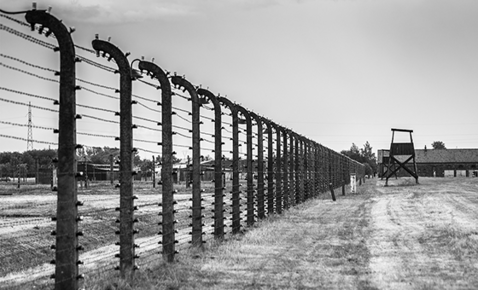 Der Geist des Holocausts bewegt Deutschland