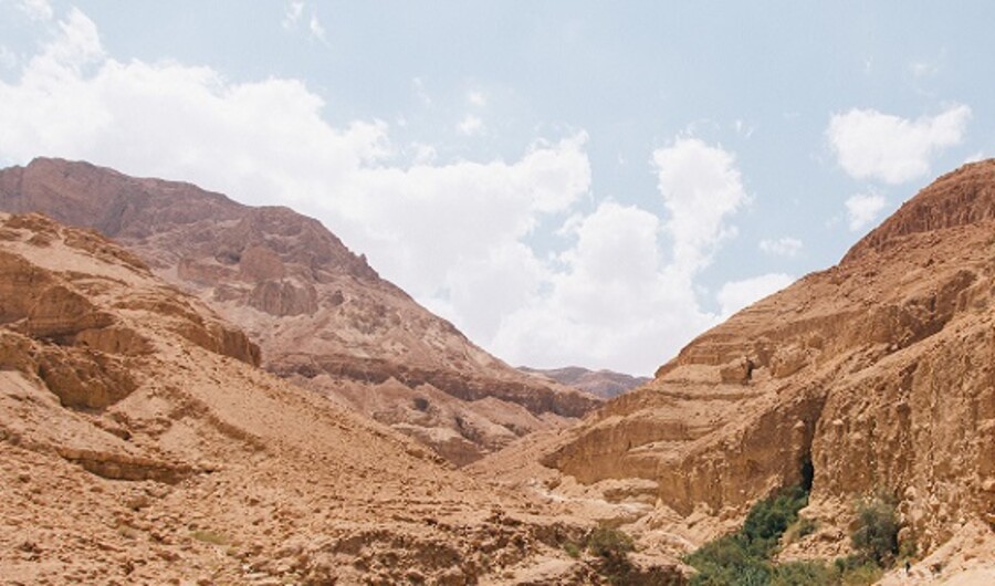 Das Volk Israel teilt sich in zwei Nationen (Erster Teil)