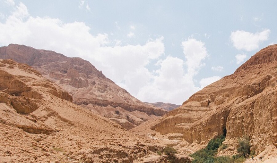 Das Volk Israel teilt sich in zwei Nationen (Erster Teil) 