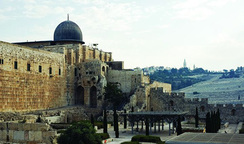 Das antike Jerusalem freilegen