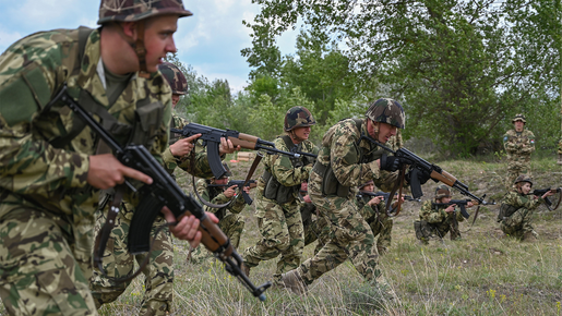 Ungarn tritt dem deutschen Militärbündnis bei