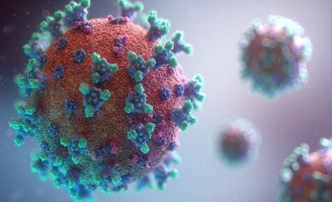Das Coronavirus, ein Produkt aus dem Labor?