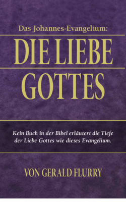 Das Johannes-Evangelium: Die Liebe Gottes