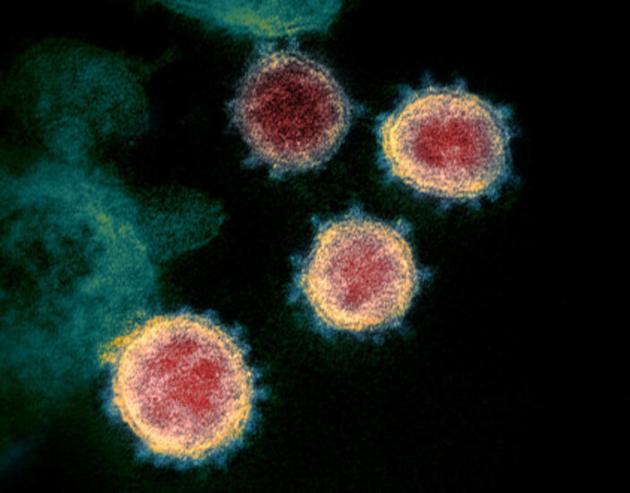 Ist das Coronavirus das Malzeichen des Tieres?