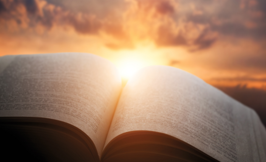 Besuch einer anderen Welt