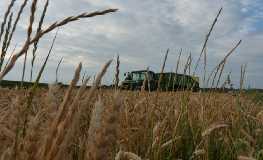 Landwirte reagieren auf zerstörerische Politik in den Niederlanden 