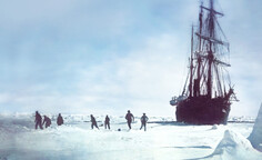 Shackletons unmöglicher Triumph