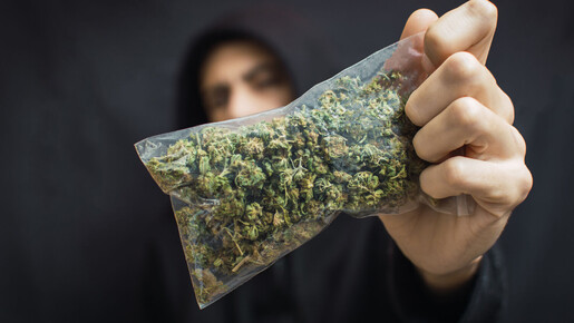Minnesota soll Entschädigung für Marihuana-Verbot zahlen