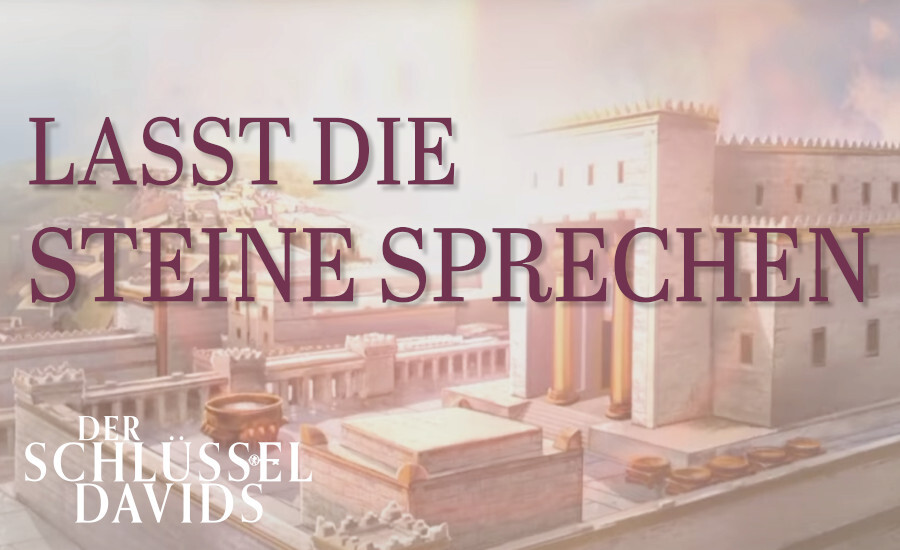 Lasst die Steine sprechen (2024)