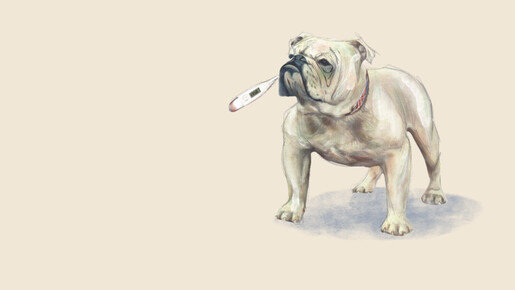 Die britische Wirtschaft ist ein Schlechter Witz