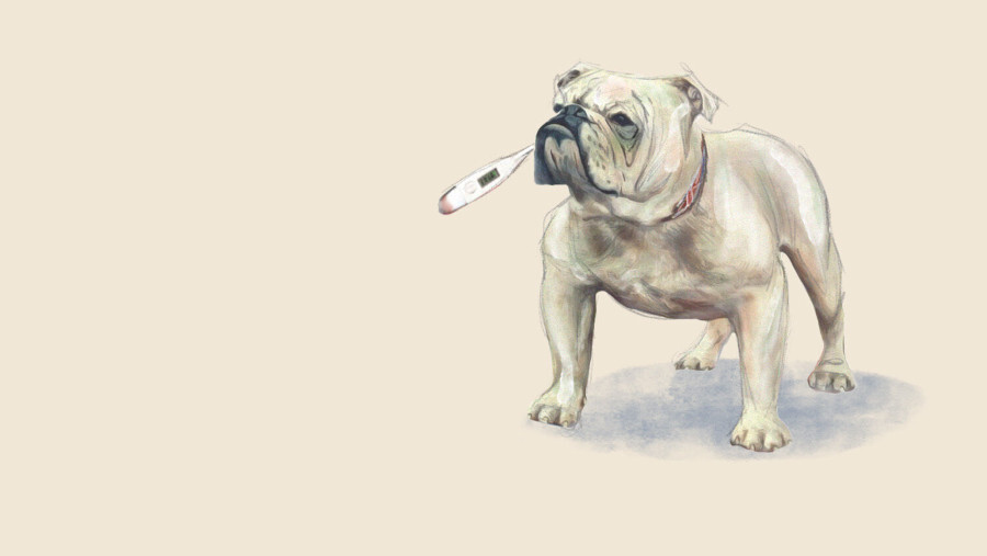 Die britische Wirtschaft ist ein Schlechter Witz