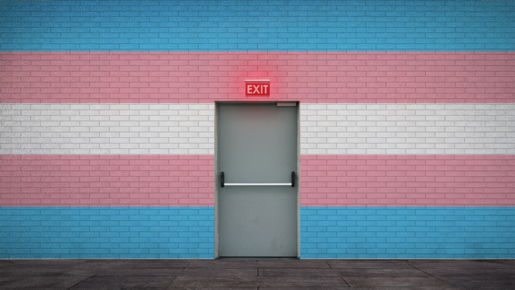 Aufwachen aus dem Transgenderismus-Albtraum