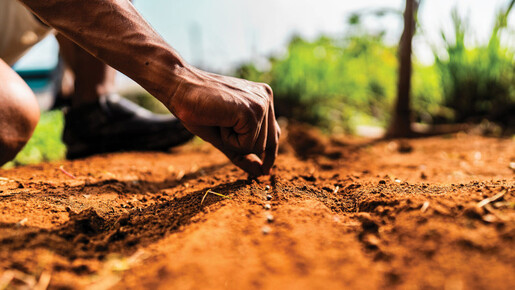 Was werden Sie mit der Wahrheit tun?