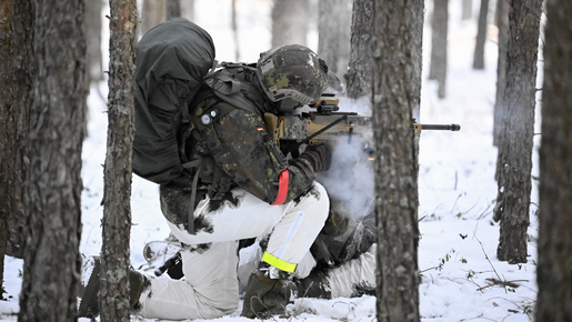 Deutschlands Arktisfront
