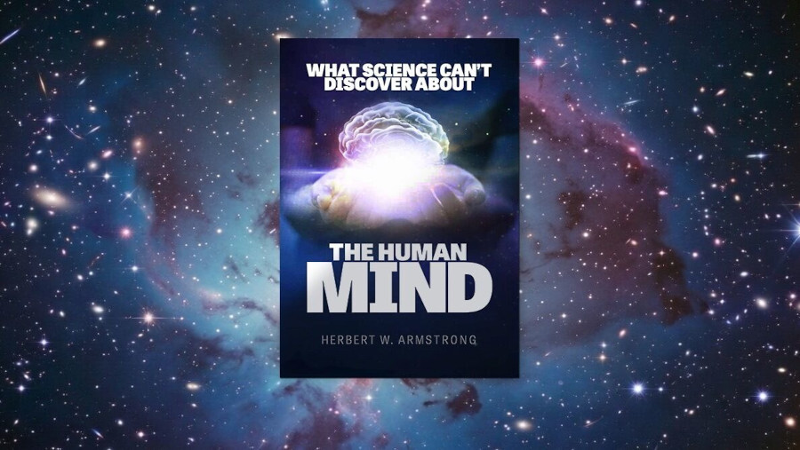 KI-Experten: Wachen Sie auf!