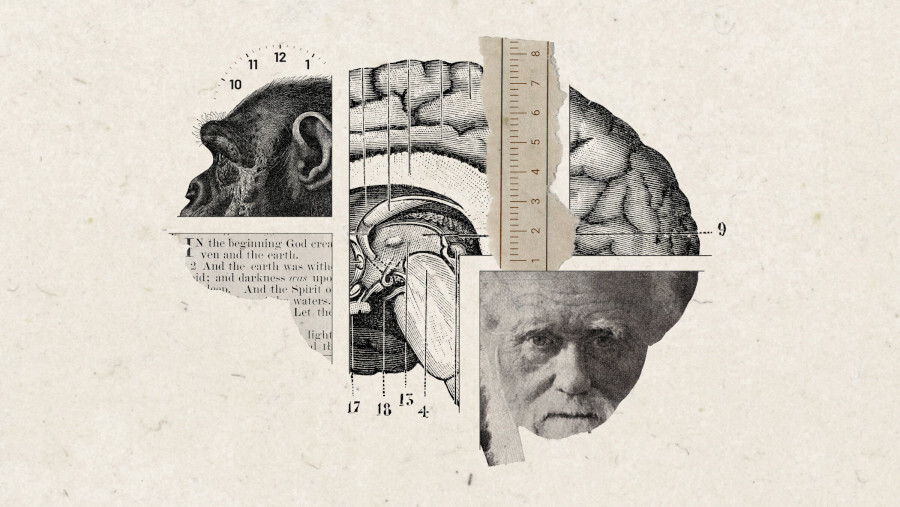 Ein wahrer Christ kann nicht an Evolution glauben