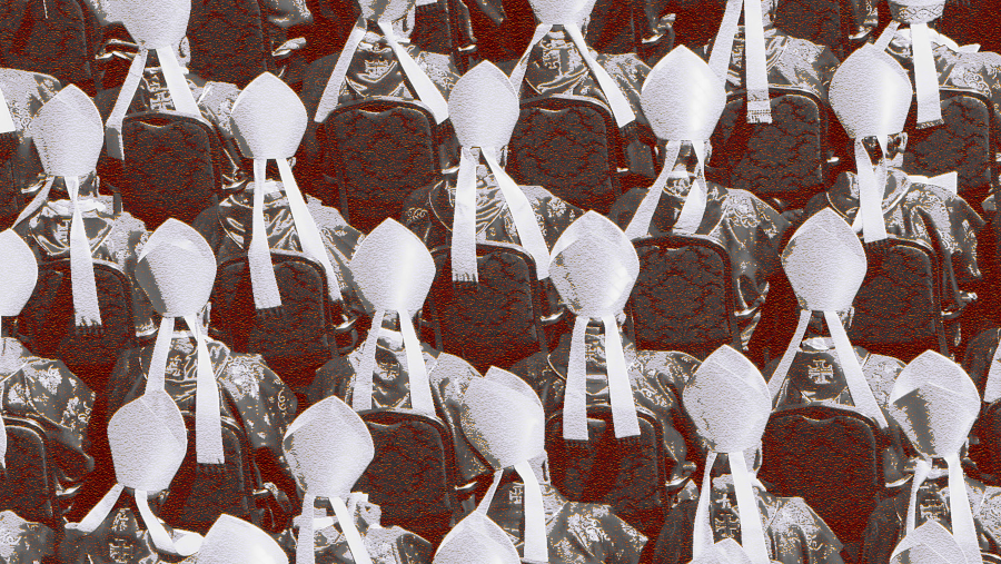 US-Bischöfe verteidigen Papst