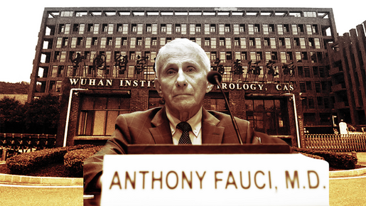 Fauci beruft sich bei der Anhörung im Senat wiederholt auf sein Aussageverweigerungsrecht