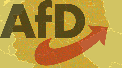 Stellt die AfD eine Gefahr für die deutschen Militärpläne dar?